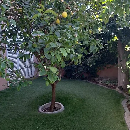 Apartment Apartamentoconjardinprivadoybbq *